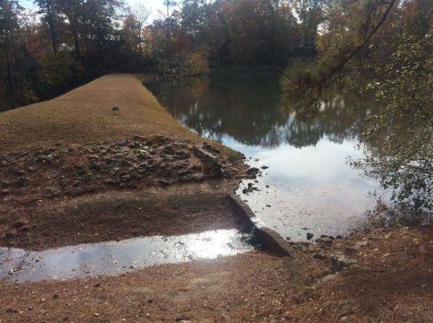 Lakes of Old Peachtree HOA 3